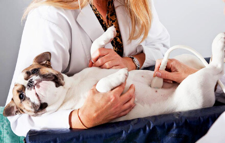 Ultrasound