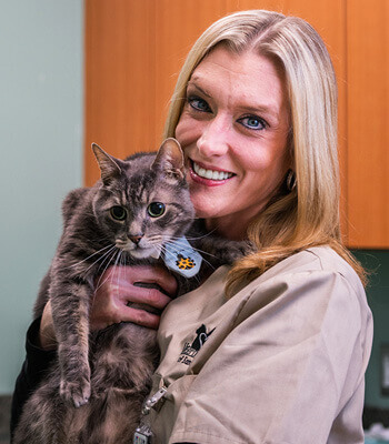 Allison, Licensed Veterinary Technician