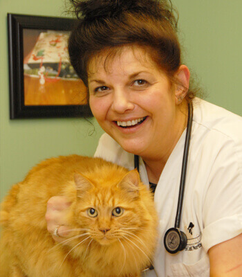 Laura, Licensed Veterinary Technician