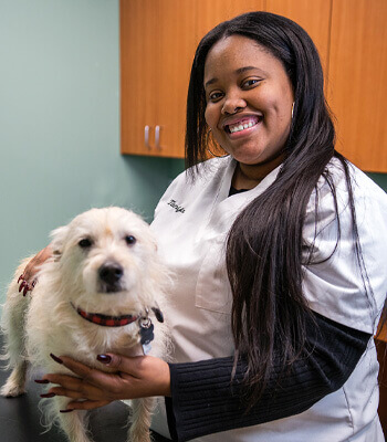 Tanija, Receptionist
