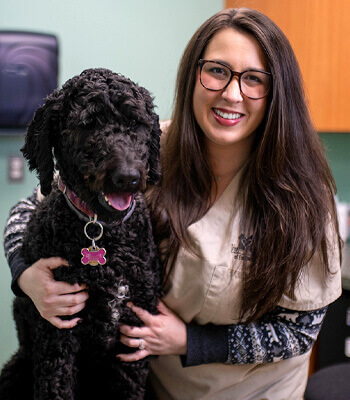 Taylor, Veterinary Assistant