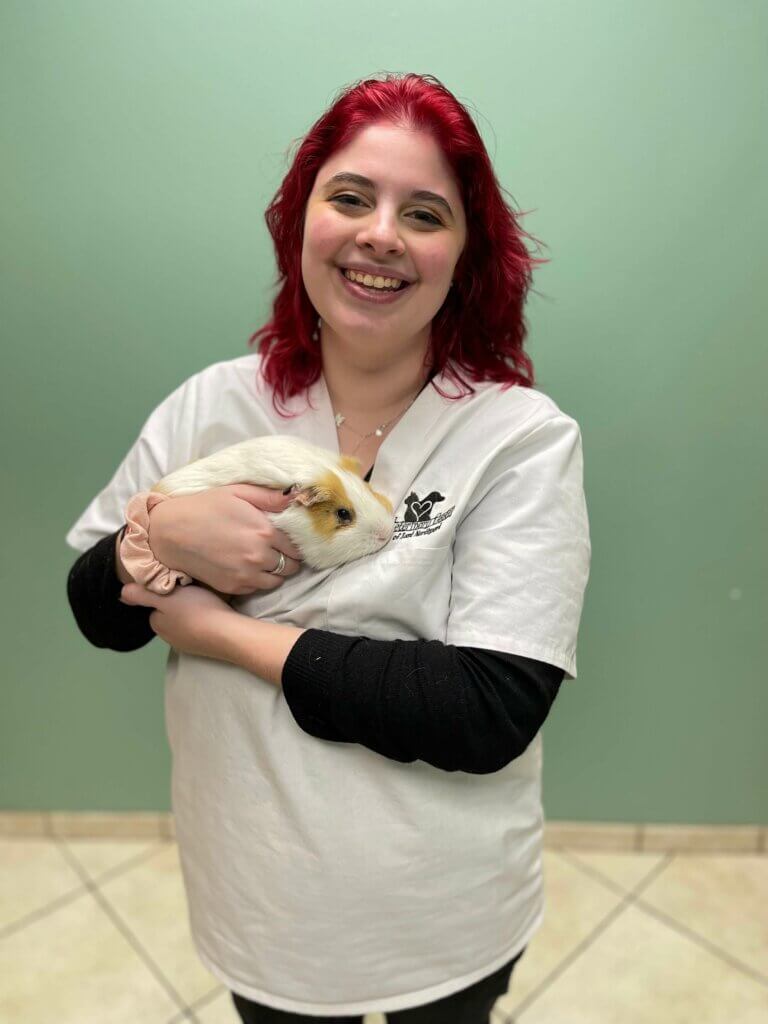 Meet Vanessa, Receptionist At Veterinary Center of East Northport